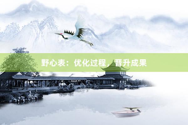 野心表：优化过程，晋升成果
