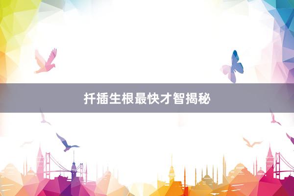 扦插生根最快才智揭秘