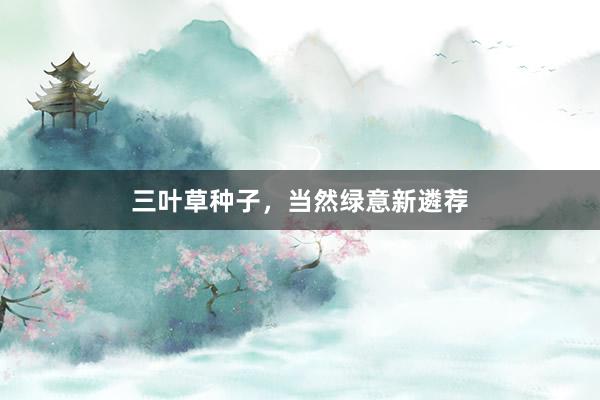 三叶草种子，当然绿意新遴荐