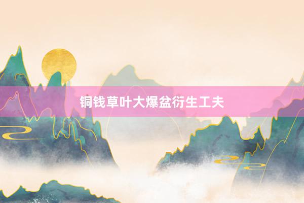 铜钱草叶大爆盆衍生工夫