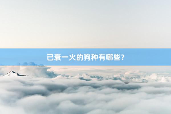 已衰一火的狗种有哪些？